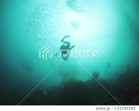 春濁りで魚群を追うダイバー 透明度の低い水中(低視界) 春濁りで魚群を追うダイバー 透明度の低い水中(低視界) 135243592