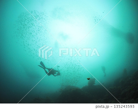 春濁りの海 深場から見上げるダイバーと魚群 余白のある水中背景 135243593
