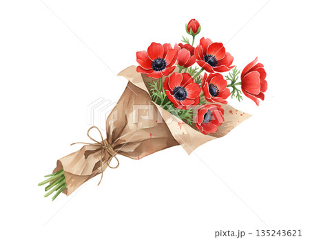 赤いアネモネのブーケ　水彩イラスト 135243621