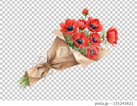 赤いアネモネのブーケ　水彩イラスト 135243621