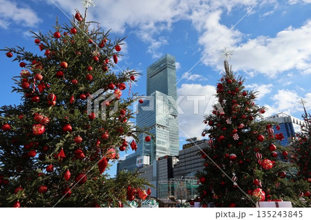 大阪、天王寺公園のクリスマスマーケット 大阪、天王寺公園のクリスマスマーケット 135243845