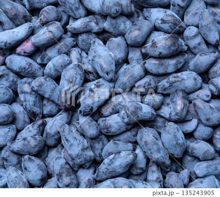 Honeysuckle . Blueberry. Fresh raw berries. Honeysuckle . Blueberry. Fresh raw berries. 135243905
