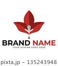 Leaf logo vector illustrations design icon template 135243948