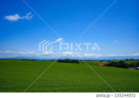 丘の風景 北海道美瑛 丘の風景 北海道美瑛 135244072