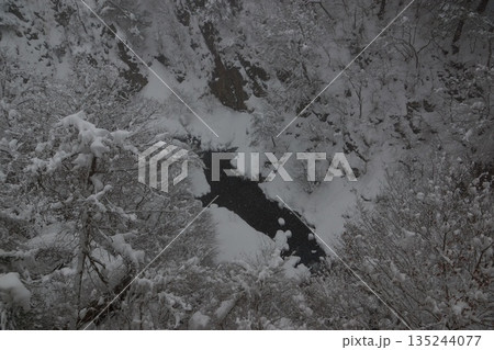 厳冬の渓谷 雪と闇の川 厳冬の渓谷 雪と闇の川 135244077