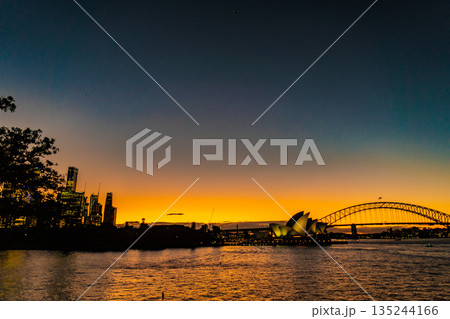 オペラハウスとハーバーブリッジ 135244166