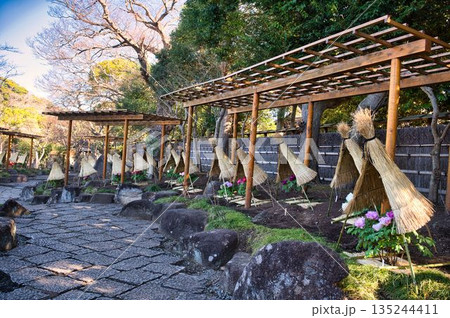 正月ぼたんの列を巡る庭園 135244411