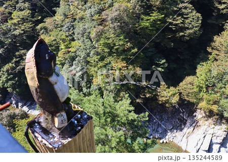 森を見守る木彫りの鳥、静寂の展望台 135244589