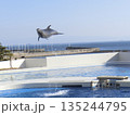 ジャンプするイルカのクローズアップ 135244795