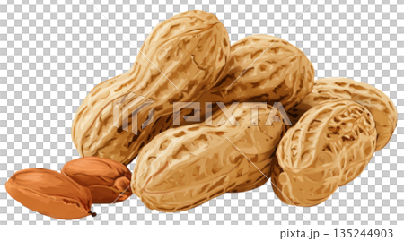 peanuts 135244903