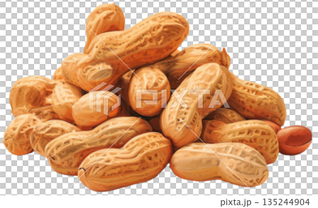 peanuts peanuts 135244904