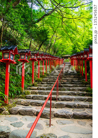 京都 貴船神社 本宮参道 京都 貴船神社 本宮参道 135245637