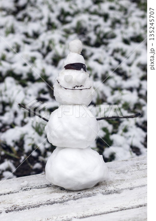 Snowman on a snow-covered bench in a quiet winter garden scene Snowman on a snow-covered bench in a quiet winter garden scene 135245707
