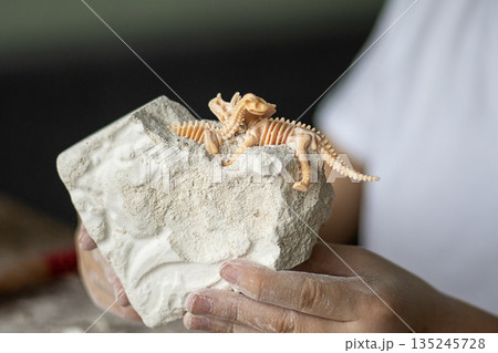 Tiny dinosaur skeleton toy perched on a stone block held by hands Tiny dinosaur skeleton toy perched on a stone block held by hands 135245728