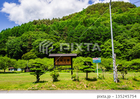 きさらぎの里　運動公園 135245754
