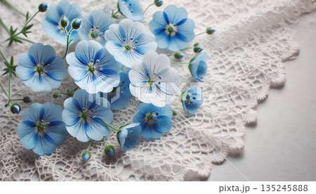 白いレースの上に描かれたミニマリストなネモフィラ 135245888