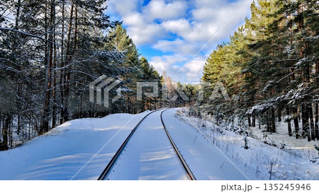 Snowy Railway Tracks in Pine Forest Winter. Curved snow-covered railroad through dense pine woods under bright blue sky with clouds. Scenic winter travel, adventure and peaceful nature landscape conce Snowy Railway Tracks in Pine Forest Winter. Curved snow-covered railroad through dense pine woods under bright blue sky with clouds. Scenic winter travel, adventure and peaceful nature landscape conce 135245946