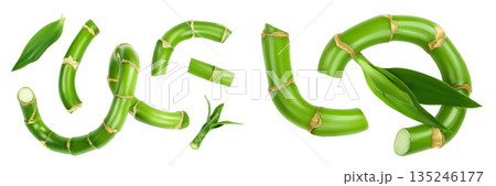 Green bamboo with leaves isolated on white background. Top view. Flat lay 135246177