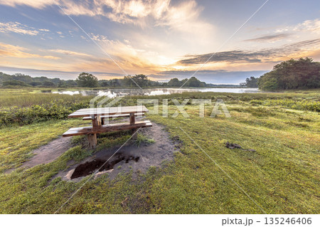 Picknick bench at Fen in Heathland of Dwingelderveld 135246406
