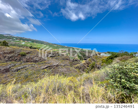 Landscape Scene on La Palma island Landscape Scene on La Palma island 135246491