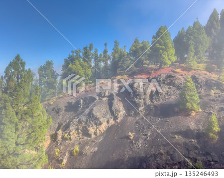 Trekking in Hazy Volcanic Landscape 135246493