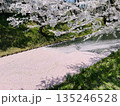 桜の花びらが水面を覆う春の風景 135246528