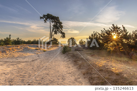 Sunrise on Aekingerzand Netherlands 135246613