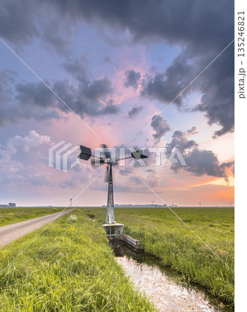 Polder Grassland landscape in Netherlands Polder Grassland landscape in Netherlands 135246821