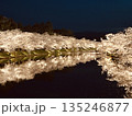 夜にライトアップされた桜と水面の反射風景 135246877