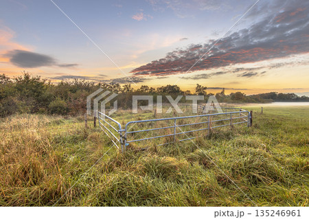 Livestock Fence on a Ranch Netherlands 135246961