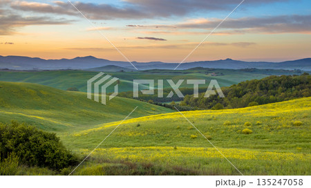 Vivid landscape Tuscany 135247058