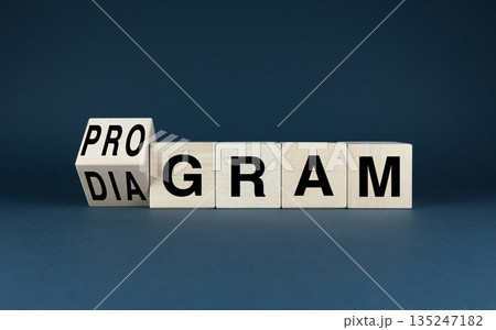 Wooden blocks spelling out Program - Diagram 135247182