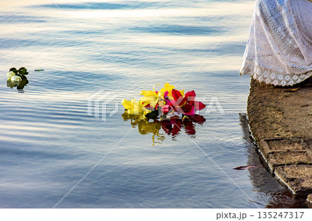 Flowers being placed in the water Flowers being placed in the water 135247317
