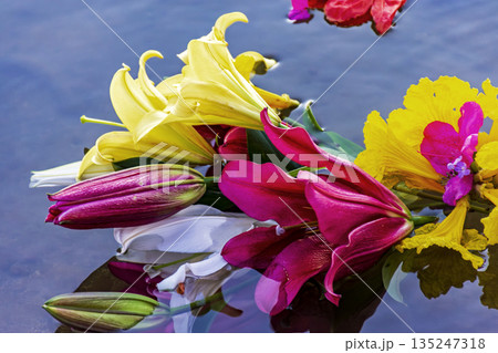 Flowers floating in the water Flowers floating in the water 135247318