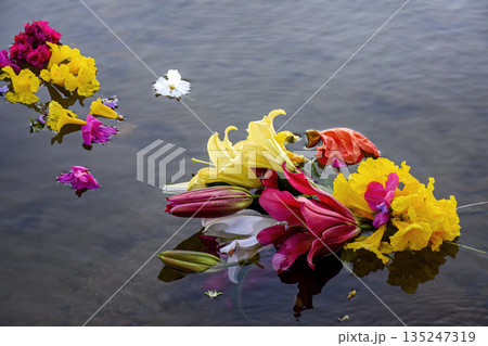 Flowers placed in water 135247319