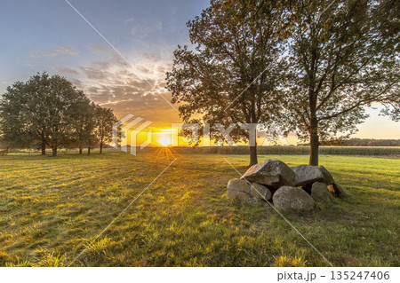 Ancient Dolmen or Hunebed 135247406