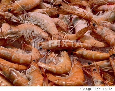 closeup of fresh shrimp on display, vibrant cooked shrimp with moist orange shells showcasing detail 135247812