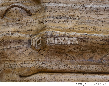 horizontal bedding and color variation, closeup of sedimentary sandstone with grain measurement 135247873
