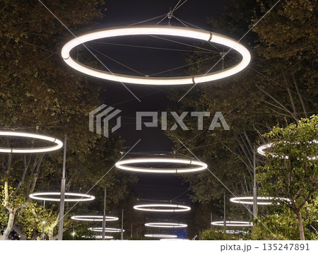 serene urban garden with gentle lighting, quiet night scene featuring glowing ring over lush foliage serene urban garden with gentle lighting, quiet night scene featuring glowing ring over lush foliage 135247891