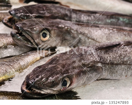 variety of whole fish arranged on ice, bulk display of fresh fish ready for wholesale purchase 135247893