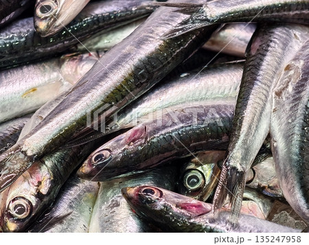 Fish Market Richness, Energetic Fishmonger Showcasing Fresh 135247958
