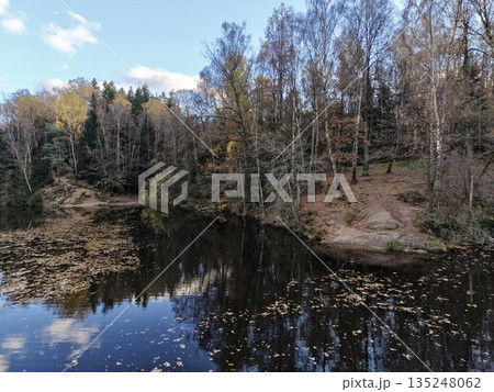 serene lake scene, tranquil water mirrors sky, peaceful lake with floating leaves and soft light 135248062