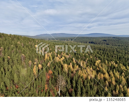 peaceful aerial view of vibrant fall foliage amidst distant mountain ridges and soft clouds 135248085