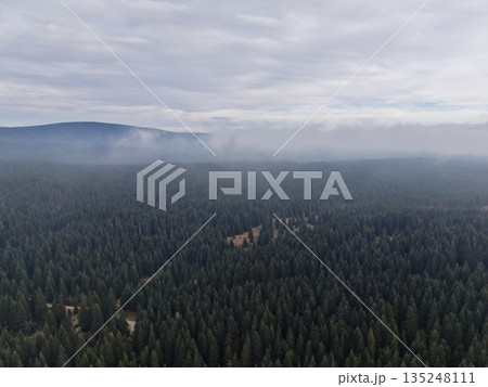 cloudy layers cloak mountain forest, misty airborne mist blankets thick pine forests with distant hills cloudy layers cloak mountain forest, misty airborne mist blankets thick pine forests with distant hills 135248111