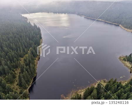 serene water view, vast lake with trees and clouds, calm basin reflecting sky amidst wooded shores 135248116