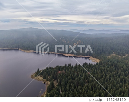calm lake amidst lush trees, tranquil lake encircled by thick forests under gentle gray sky calm lake amidst lush trees, tranquil lake encircled by thick forests under gentle gray sky 135248120