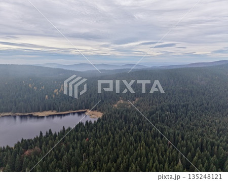 serene early morning forest scene, vast view of misty forest lake during dawn with distant hills 135248121