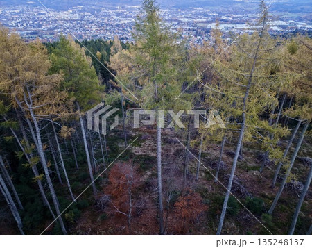 aerial survey captures vibrant transition between natural and urban environments for planning aerial survey captures vibrant transition between natural and urban environments for planning 135248137