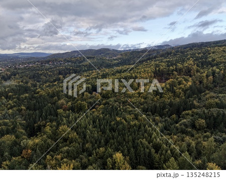 Thick And Verdant Tree Canopy Sprawling Over Varied Terrain Suitable For Ecological Research And Protection 135248215