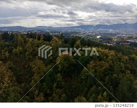 Suburban Skyline With Natural Surroundings, Aerial Perspective Of City Edges And Lush Tree Canopies Suburban Skyline With Natural Surroundings, Aerial Perspective Of City Edges And Lush Tree Canopies 135248219